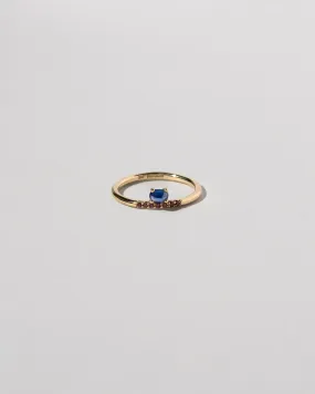 Stacked Ring - Sapphire & Ant Hill Garnet